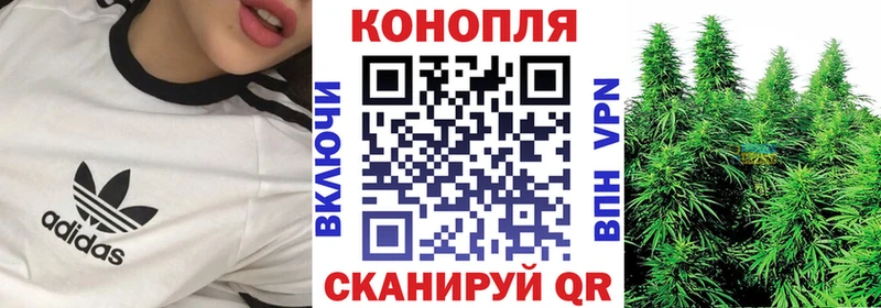 Виды наркотиков купить Жиздра Конопля Alpha PVP Меф Кокаин