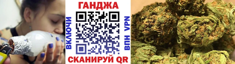 Каннабис гибрид  Жиздра 